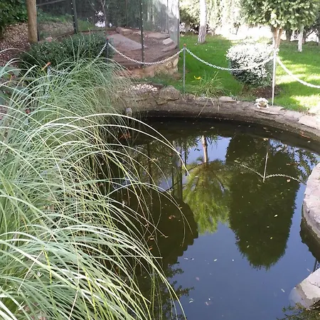 Paraje El Serbal بيت خشبي Benatae