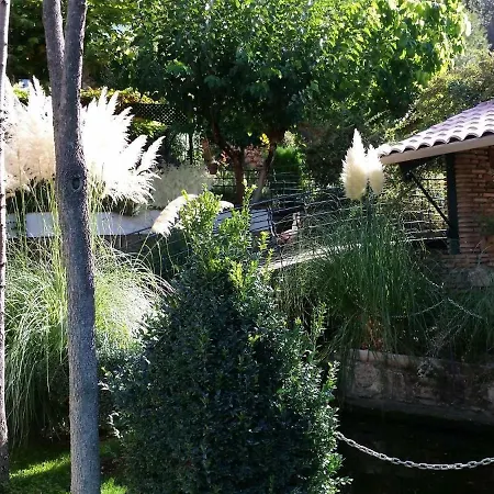 Paraje El Serbal *